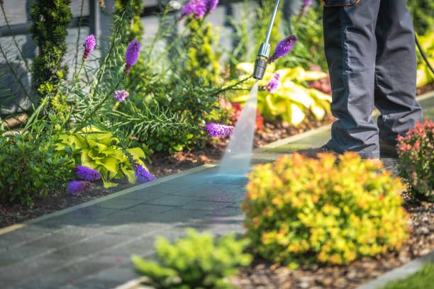 Best Sidewalk and Walkway Pressure Cleaning in West Point, NY